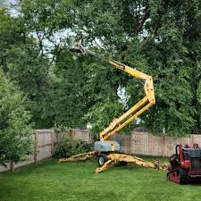 Best Fruit Tree Pruning  in Village Of Waukesha, WI